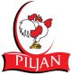 Piljan_Logo